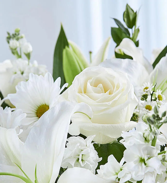 Sincerest Sorrow All White Arrangement
